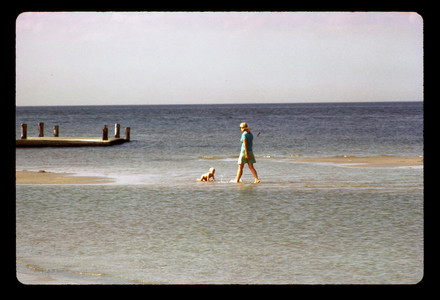 Slide125.jpg